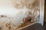 Mould has a serious negative impact on residents' quality of life.